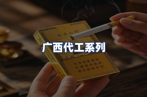广西代工系列